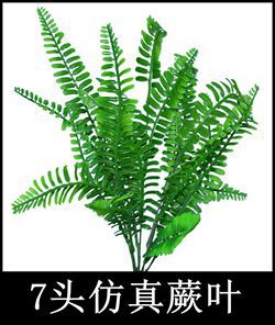 仿真蕨叶.jpg
