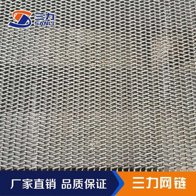 厂家供应耐高温网带 食品蔬菜清洗机网带 退火炉链条式网带|ru