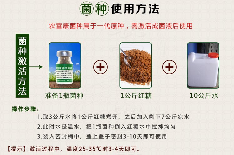 种植菌种2.jpg