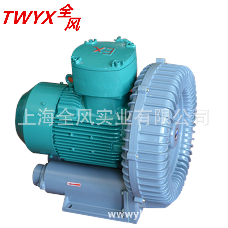 耐高温150 200 250 300度 防爆防腐气泵液化气专用防爆高压鼓风机