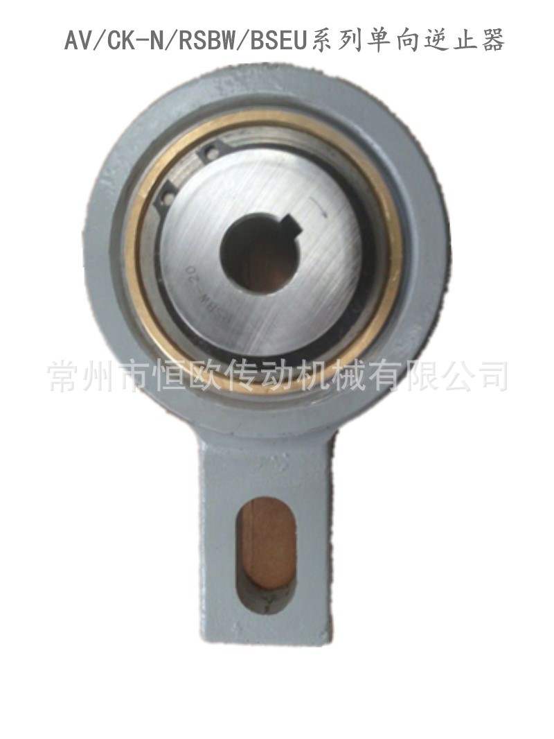 提升机逆止器 RSBW20 RSBW25 RSBW30 RSBW35