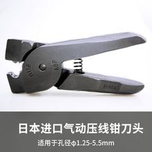 �ձ�NILE���R�M�ښ�Ӊ����Q���^���I��������Ӊ����Q���^A8P5.5