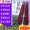 Purple -red bean horn seeds hanging noodles with red bean seeds four seasons of bean seeds vegetable bean seeds original 30 grams