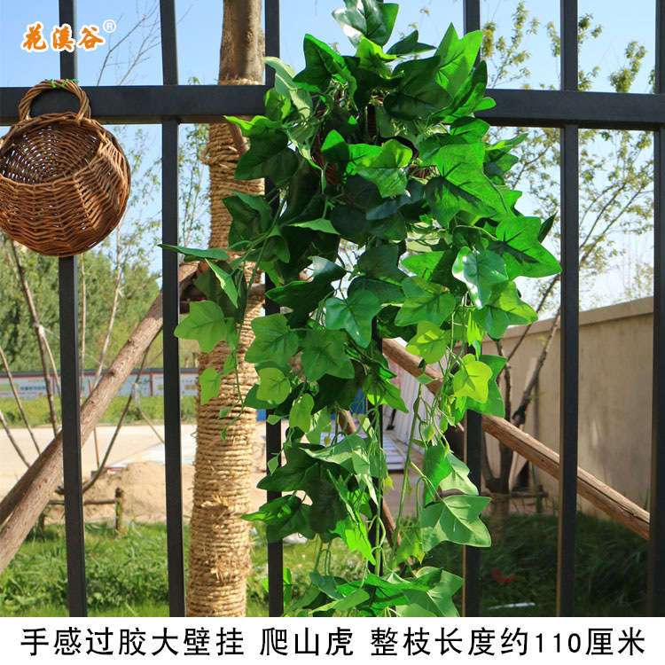 手感过胶壁挂 爬山虎