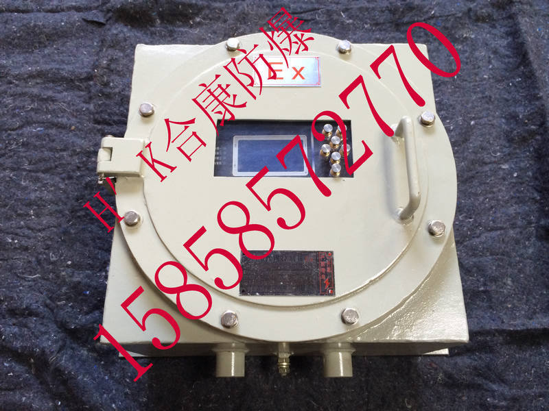 ATEX认证防爆仪表箱ATEX防爆箱