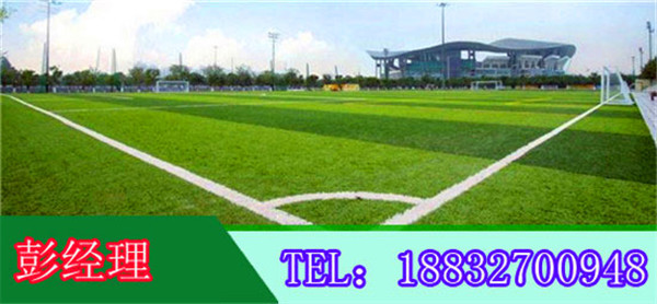 西昌人工草坪【耐用易保养】