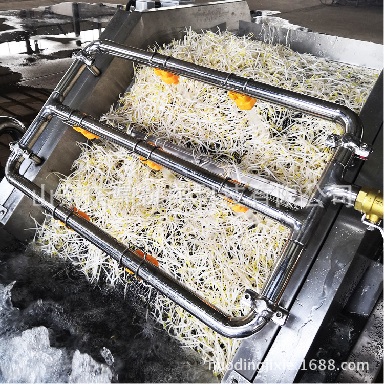 绿豆芽气泡式清洗机 全自动净菜加工设备 多功能喷淋清洗机