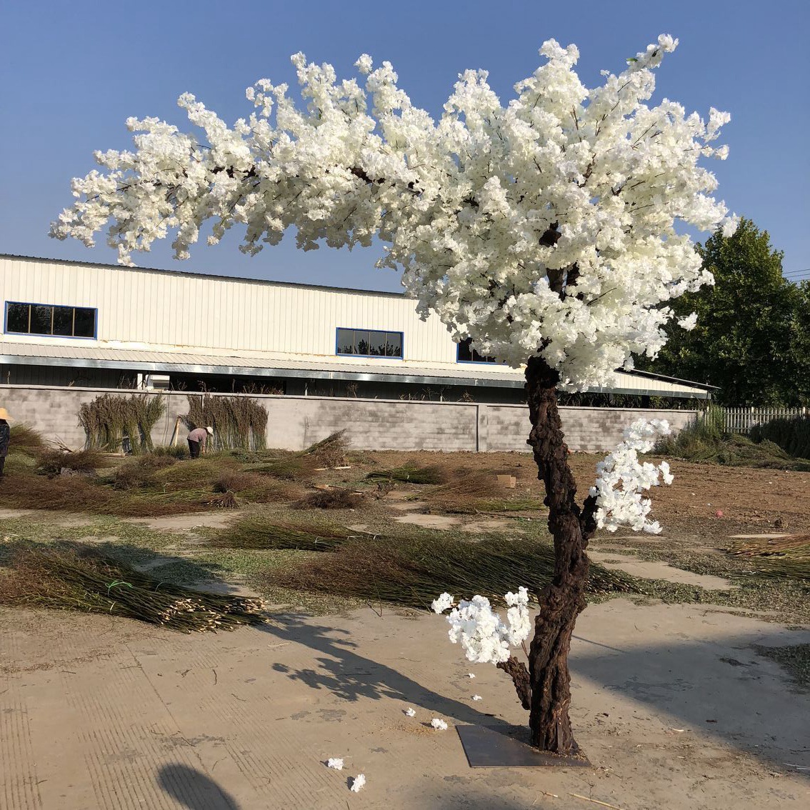 仿真婚庆布景白色樱花树 摄影道具假花树 人造仿真白色樱花树-阿里巴巴