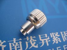 ������ĸ