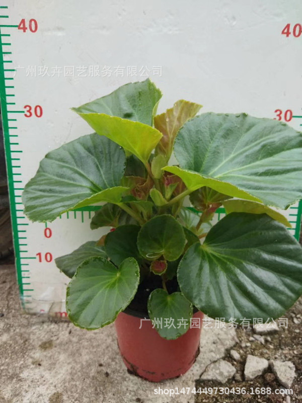 mmexport1534383629847