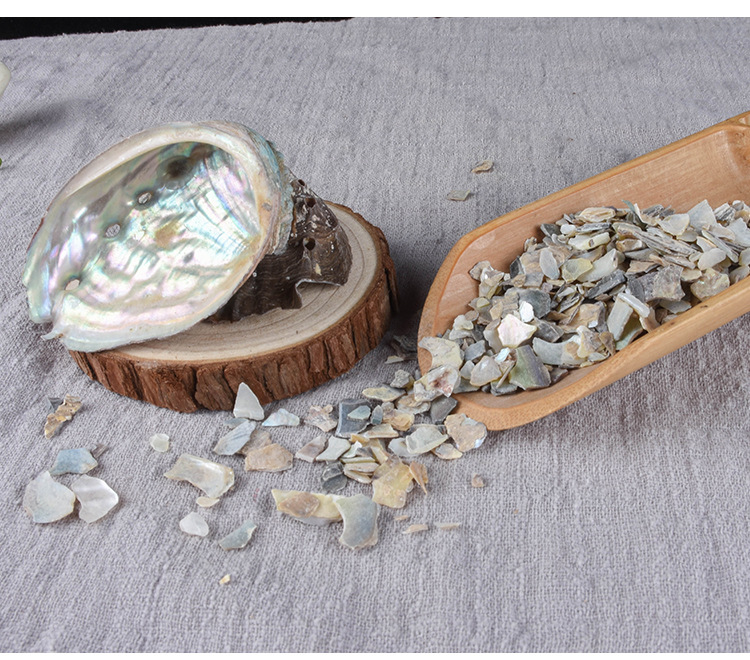 Shi Jue Ming (Haliotis Shell / Abalone Shell) — Dried Mineral Herb, 500g quality and texture