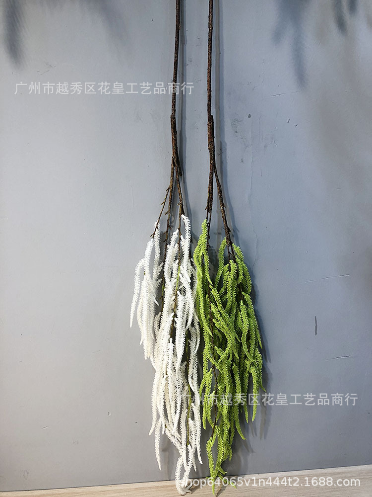 新建文件夹 (2)IMG_3805 副本.jpg
