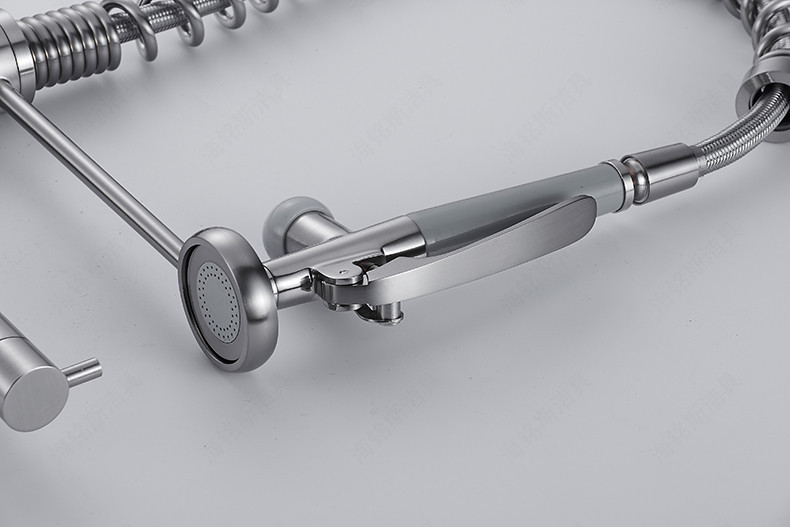 Haimingsi Spring brushed high-end kitchen faucet sink vegetable faucet dual water outlet cold and hot water 9125 undefined