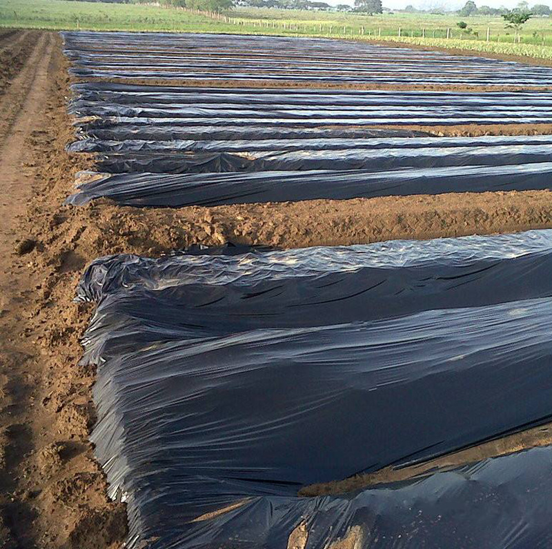 供应日本地膜黑地膜长寿黑地膜除草膜除草黑膜除草黑地膜