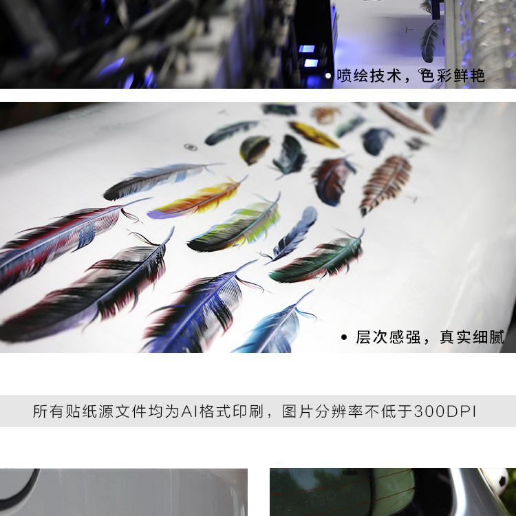 未标题-2-副本_11