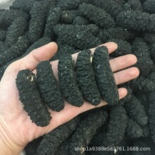 �a�����lѥ�� ����ѥ�� �ڴ̅� Ұ�����ɺ���22�^����