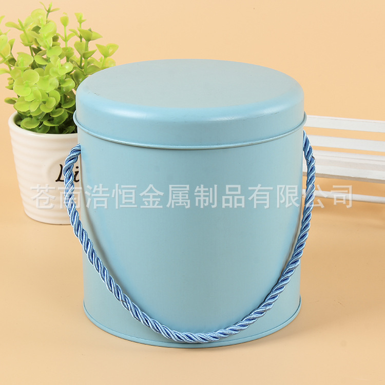 厂家批发 圆形马口铁食品罐 手提糖果喜糖罐 手提饼干盒 可定制