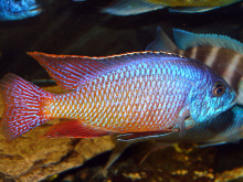 �����G���~ �t�� �t���{ �W���ʹ