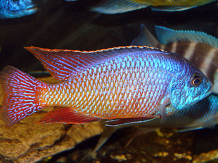 �����G���~ �t�� �t���{ �W���ʹ