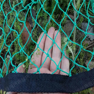 �ߠ��� �����W ��������W ���W С�׾W ������ˮ���x�W ��ȫ�W