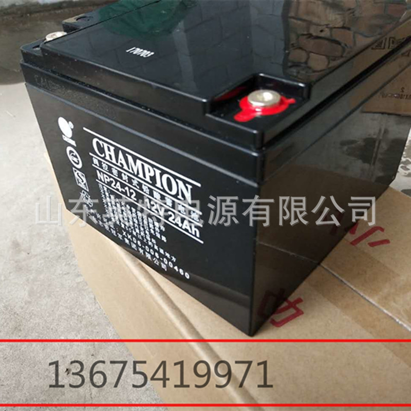电池 NP24-12 蓄电池12V24AH EPS UPS蓄电池