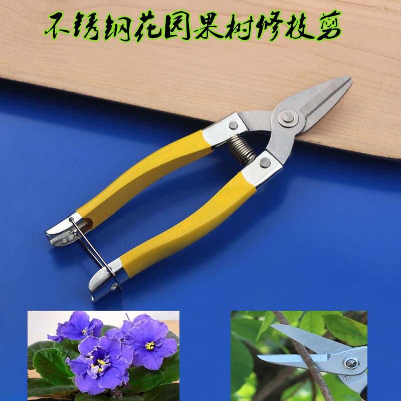 IMG_2249_����