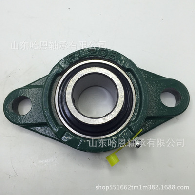 生産批發UCFL206帶鑄鐵座外球面軸承FL206帶座軸承兩孔菱形座