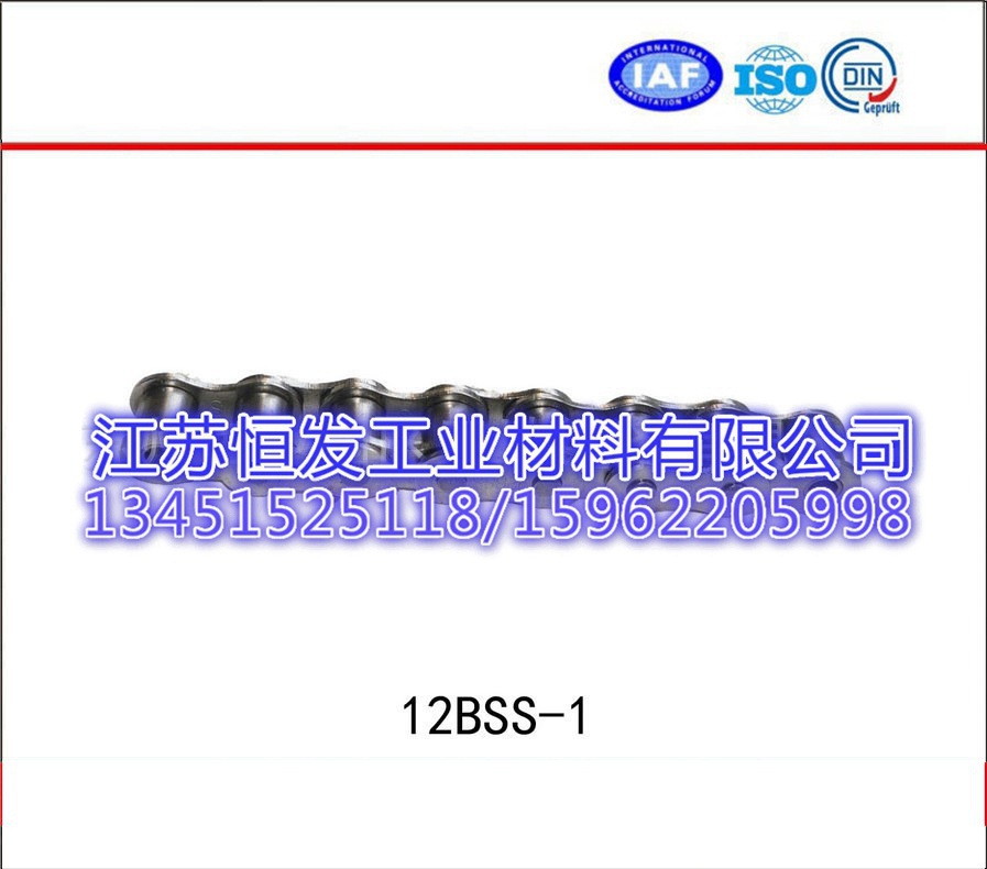 12BSS-1传动链 12BSS-1传动链供应