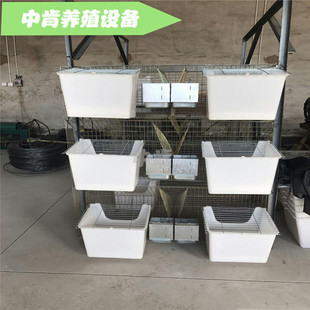 �û\ ��ĸ�û\ �û\�� �����F�z�\ �B�û\�� ������ĸ�\