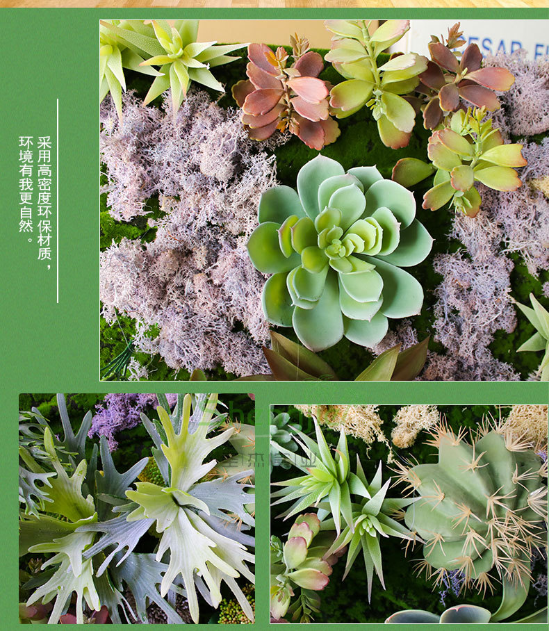 植物墙-多肉详情页_08.jpg