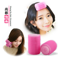 Source manufacturer Velcro self-adhesive bangs curler, plastic hair rollers, curling clips, styling hair curling tools