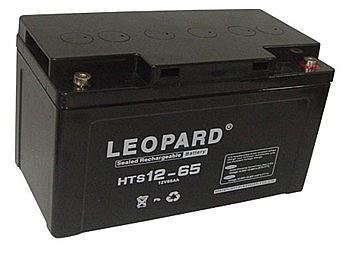 LEOPARD美洲豹蓄电池HTS12-65 12V65/AH电池UPS电源直流屏电瓶包