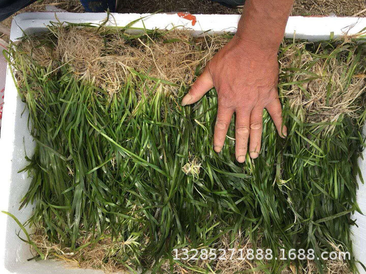 微信图片_20180528220212