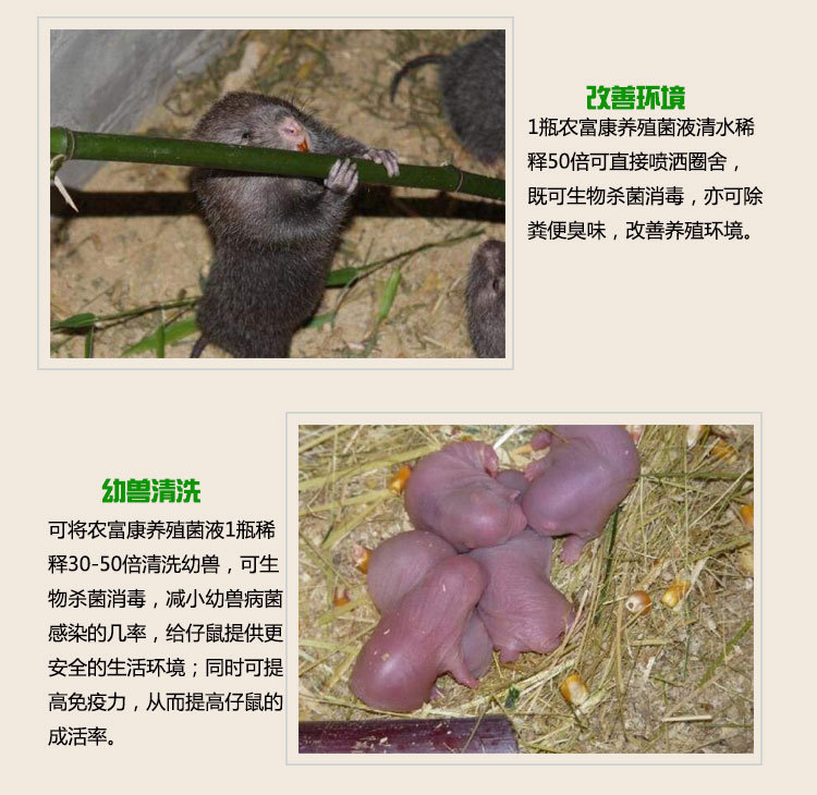 养竹鼠em菌活菌用法用量