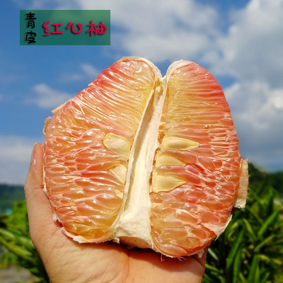 广西青皮红心柚子当季新鲜水果泰国品种红肉蜜柚孕妇水果一件代发|ru
