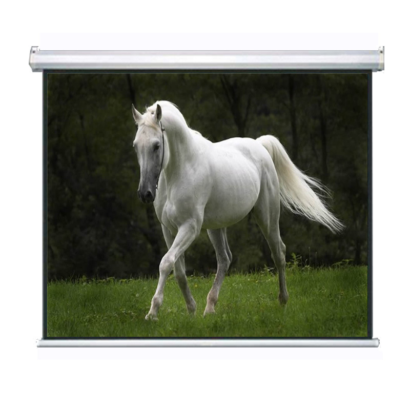 投影幕布厂家84电动幕4:3白塑幕布高清幕挂幕办公教学投影机仪幕