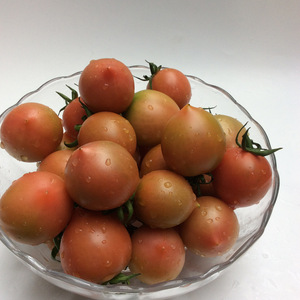 春桃圣女果 小番茄西红柿 新鲜蔬菜 孕妇水果