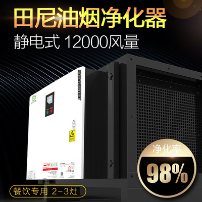 田尼油烟净化器厨房酒店饭店餐饮工业商用12000风量静电低空排放|ru