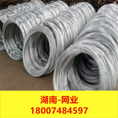 冷镀锌铁丝 绑丝 绑丝扎带 扎丝 工地绑丝 元丝 圆丝S|ru