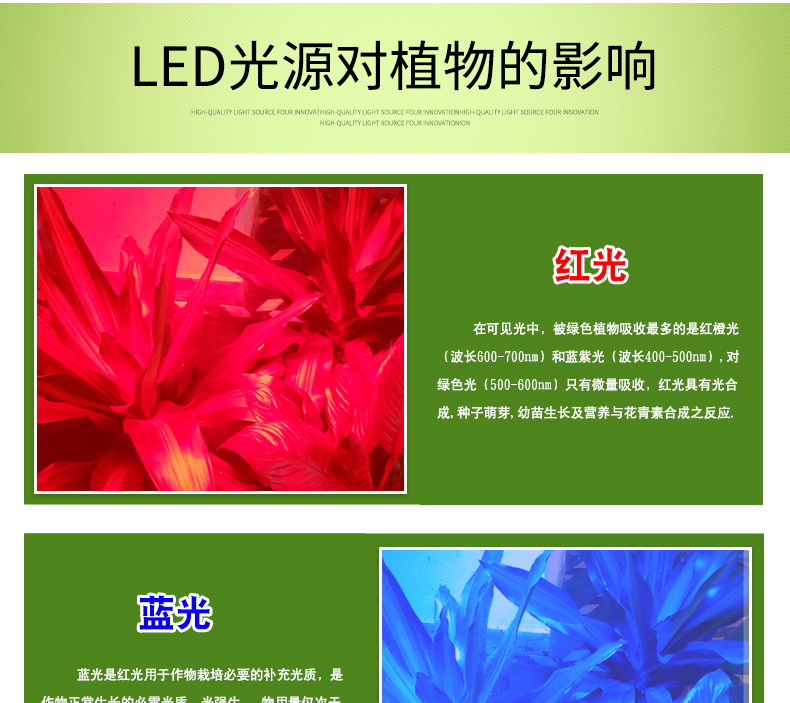 新阿凡达详情页_06