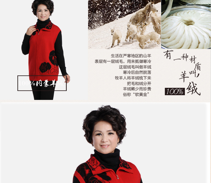 Gilet femme CACHEMIRE XIN en Tricot - Ref 3317307 Image 8