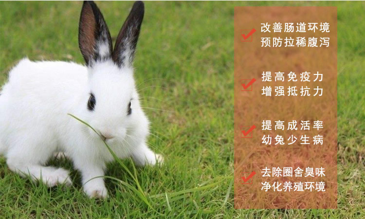 启富养兔em益生菌