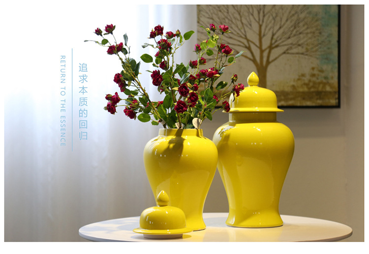 TB25IHVXrCFJuJjy0FoXXbxpXXa_!!