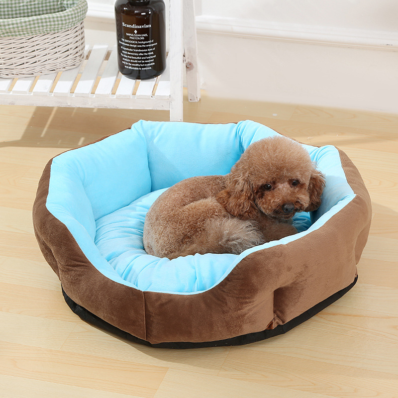 Fournitures pour chiens Image 1