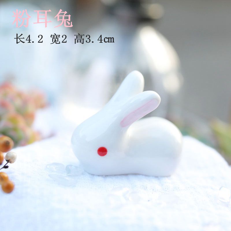 A073A9701粉耳兔