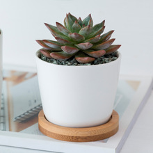 简约白色北欧桌面创意阔口圆形配圆竹托多肉陶瓷花盆套装