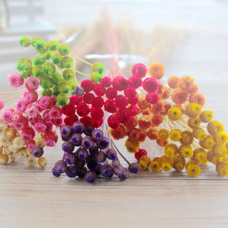 50 small happy flower thoughts flower wholesale gift box dried flower Japanese small fresh glass bottle flower photo props