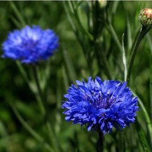 l|ʸ܇շN @־GݻN ʸ܇ջܲݷN