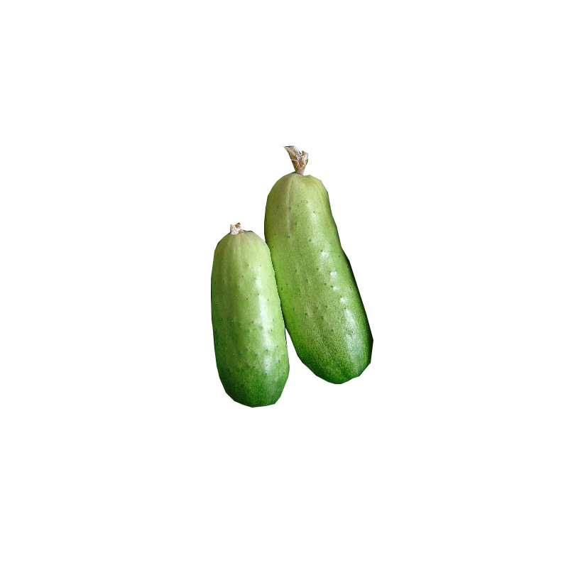 廠家直銷批發旱黃瓜種子 露地保護地種植黃瓜種植 10克裝