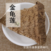 �_偵�,ѩđ,����ɏ, �_偵� �����ό��� ���ӹ�����